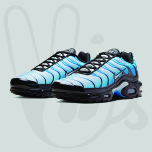 Nike Air Max Plus Blue Black 1