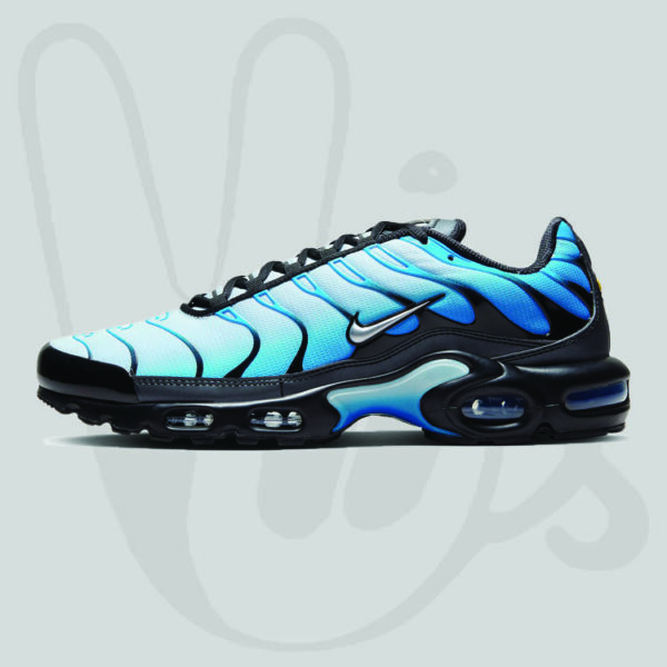 Nike Air Max Plus Blue Black 2