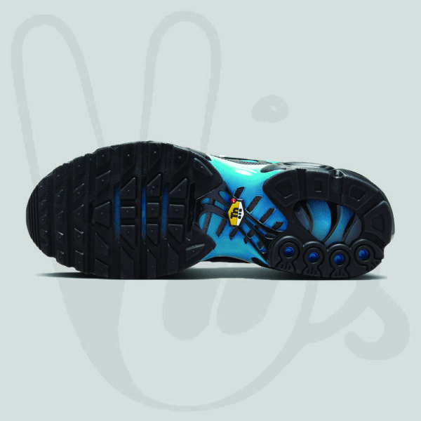 Nike Air Max Plus Blue Black 4